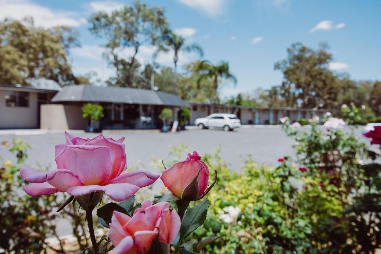 Artesian Spa Motel Moree Eksteriør bilde